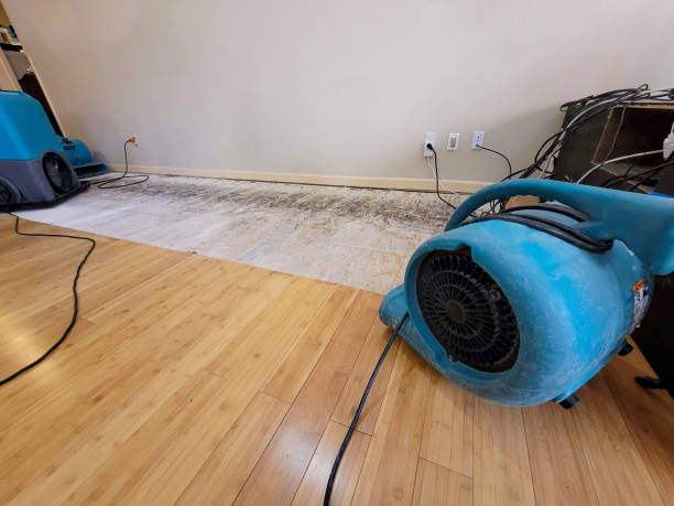 Professional Water Damage Repair technician working in Keller, WA